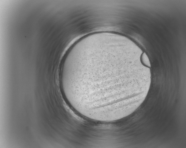 X0000080181468200612302232