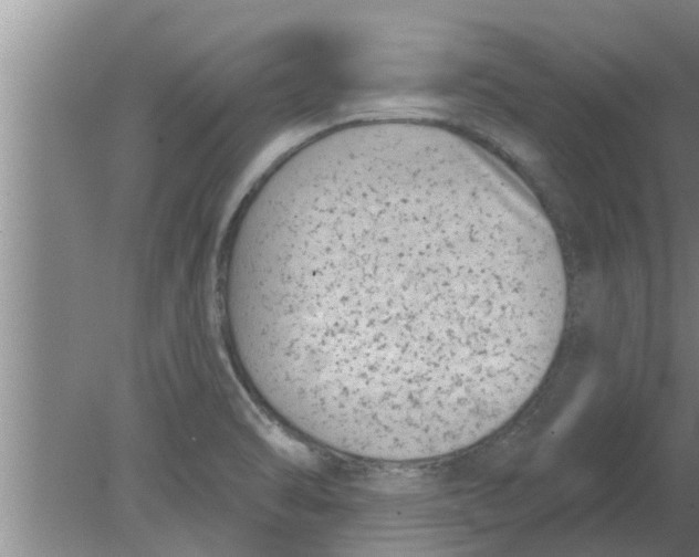 X0000080181470200612302232