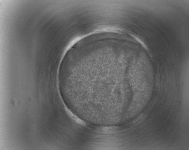 X0000080181471200612302232