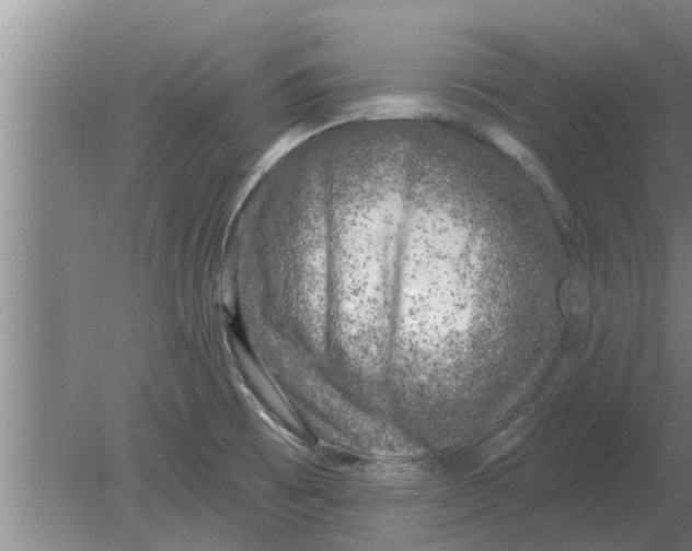 X0000080181473200612302232