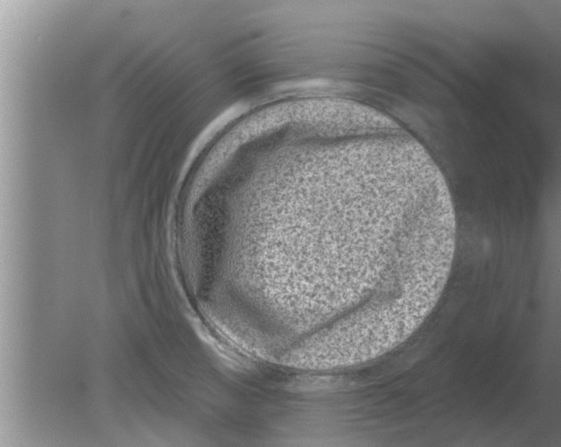 X0000080181474200612302232