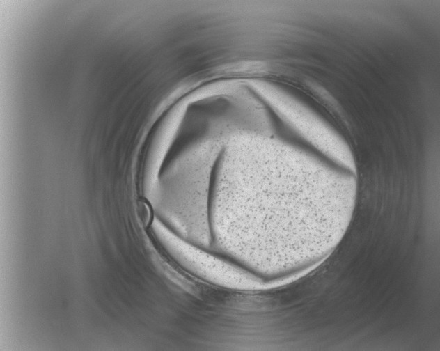 X0000080181475200612302232