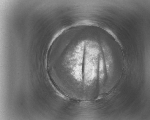 X0000080181477200612302232