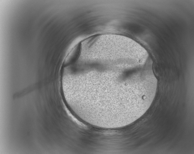 X0000080181479200612302232