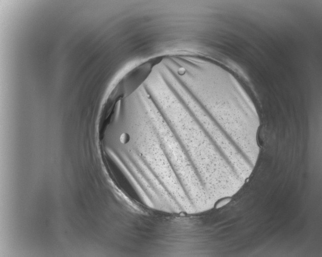 X0000080181480200612302232