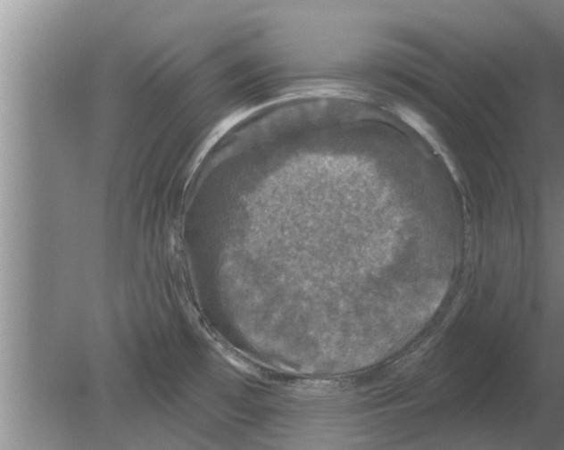 X0000080181481200612302232