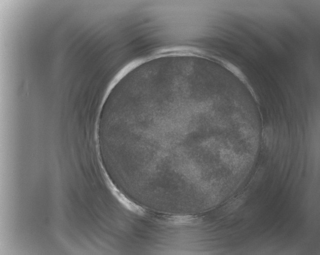 X0000080181482200612302232