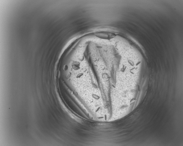 X0000080181483200612302232