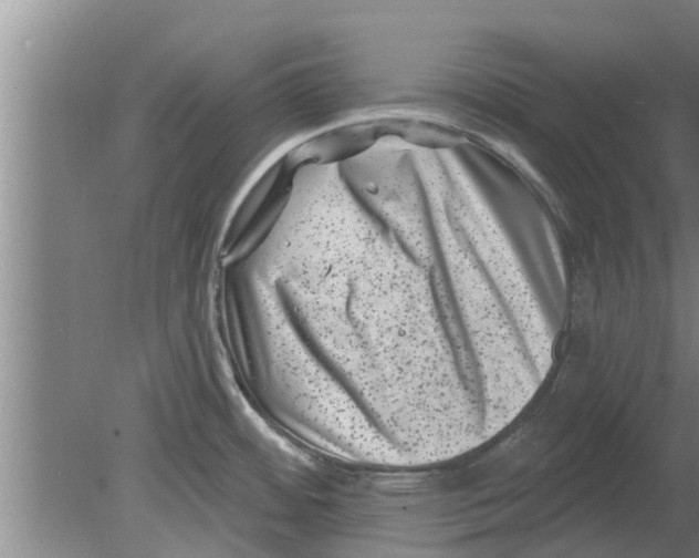 X0000080181484200612302232