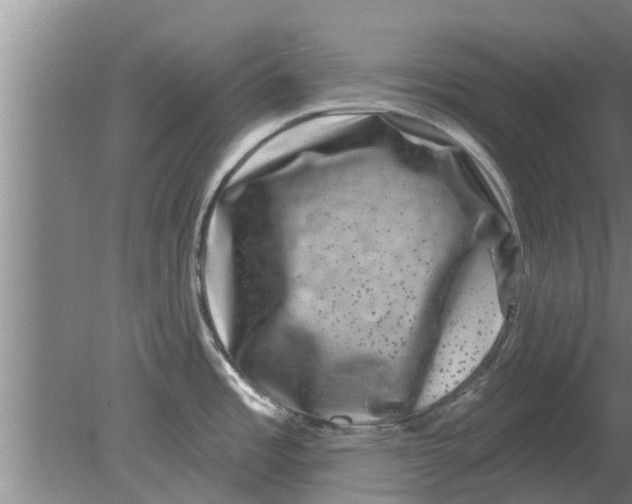 X0000080181485200612302232