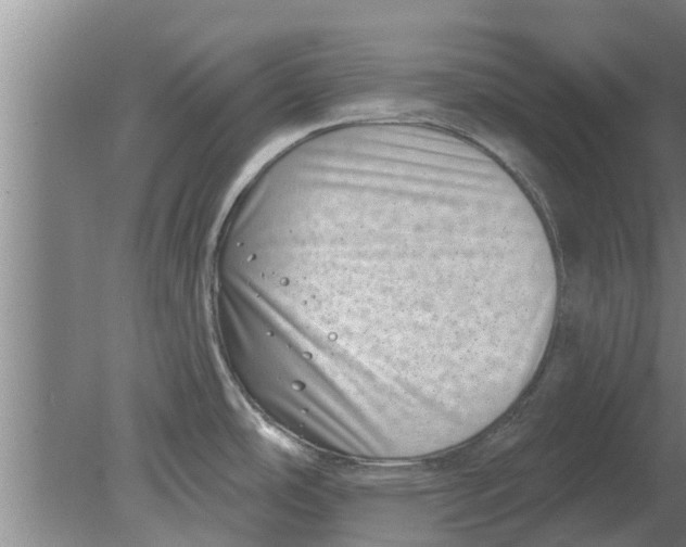 X0000080181486200612302232