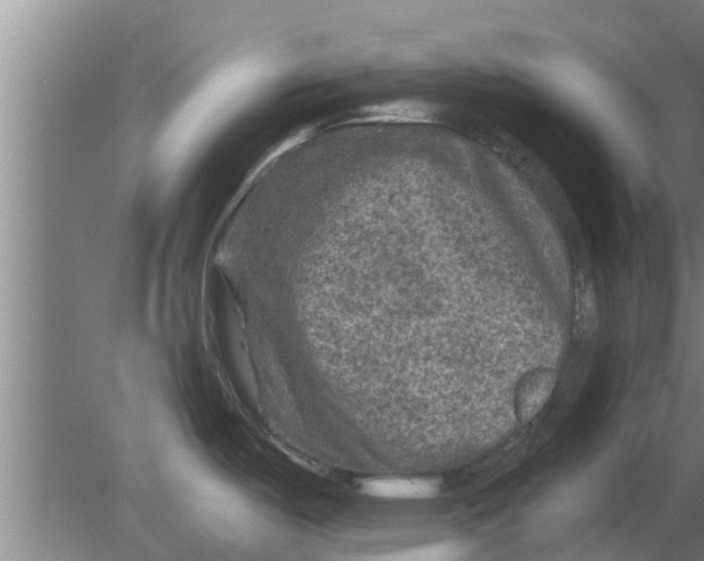 X0000080181487200612302232