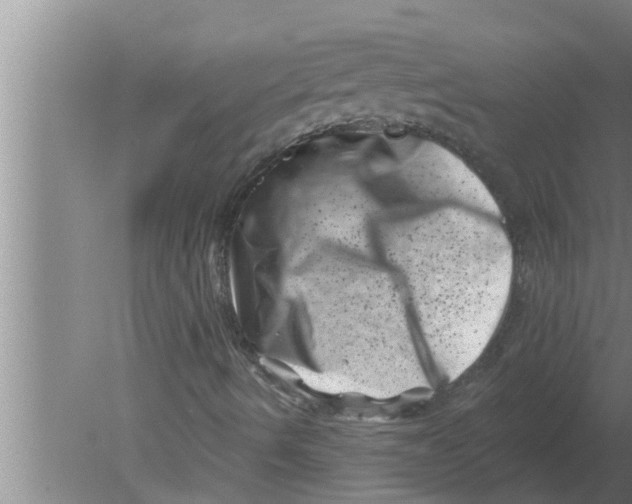 X0000080181490200612302231