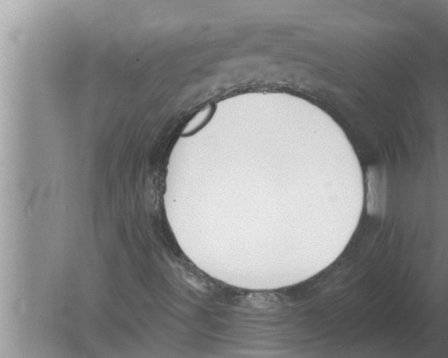 X0000080181491200612302231