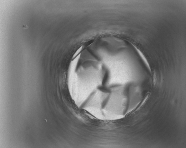 X0000080181492200612302231