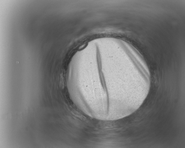 X0000080181493200612302231