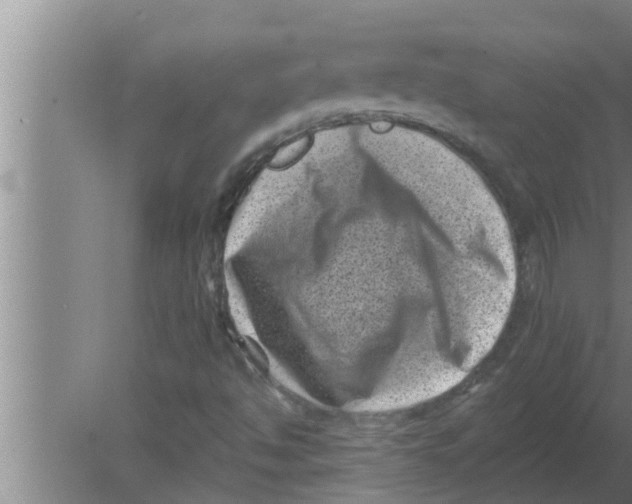 X0000080181494200612302231