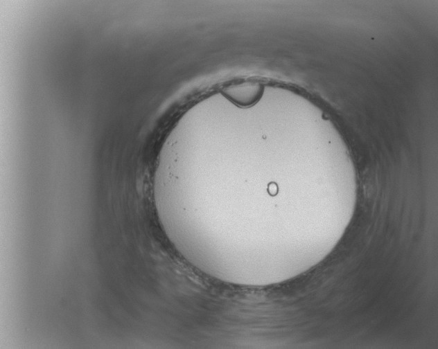 X0000080181495200612302231