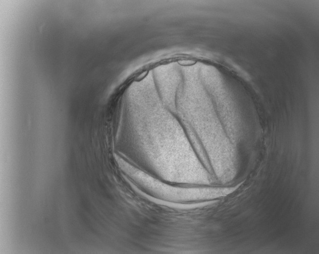 X0000080181496200612302231