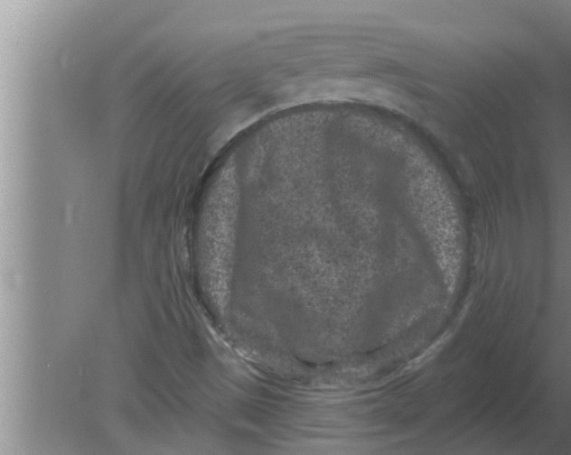 X0000080181497200612302231