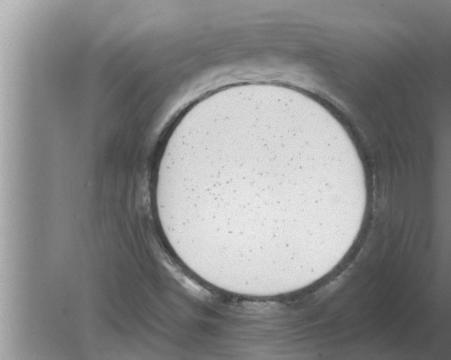 X0000080181498200612302231