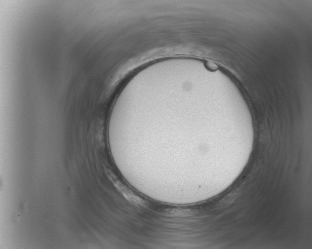 X0000080181499200612302231