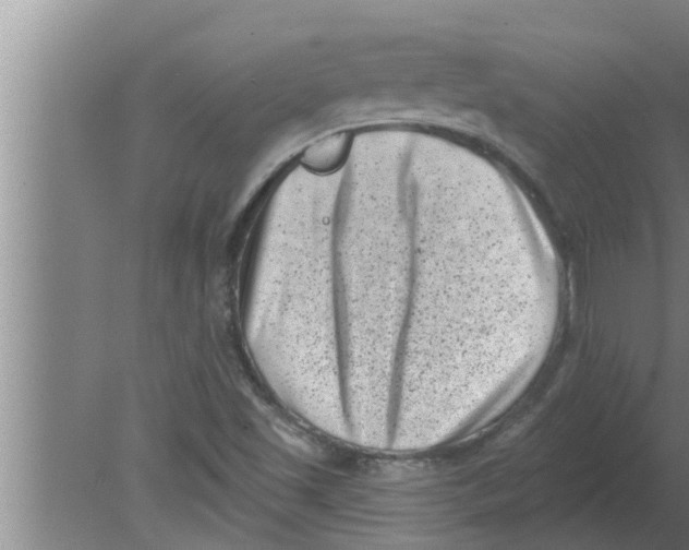 X0000080181501200612302231