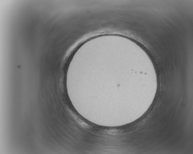 X0000080181502200612302231