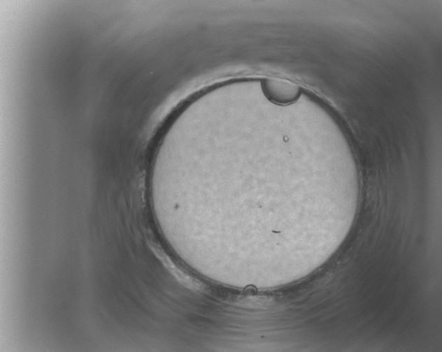 X0000080181503200612302231