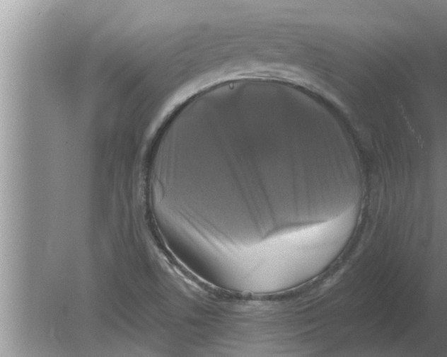 X0000080181506200612302232