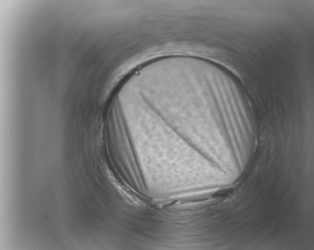 X0000080181507200612302232