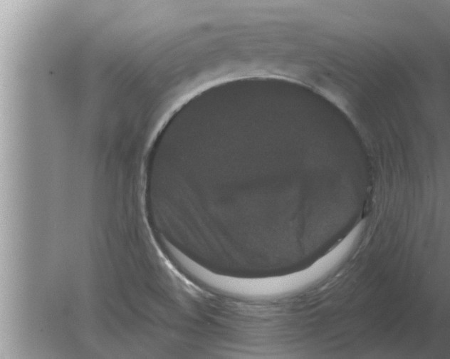 X0000080181508200612302232