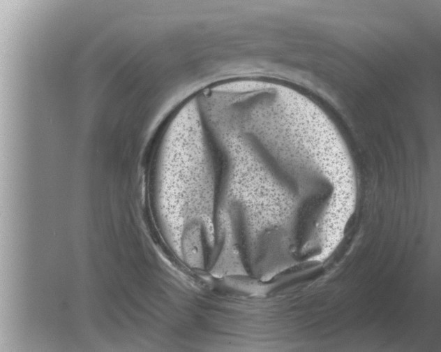 X0000080181509200612302232