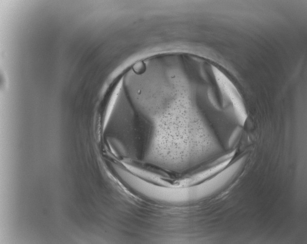 X0000080181510200612302232