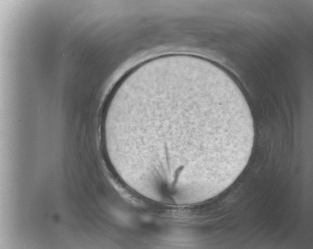 X0000080181511200612302232