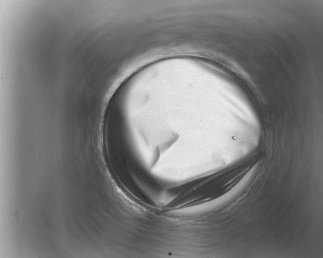 X0000080181512200612302232