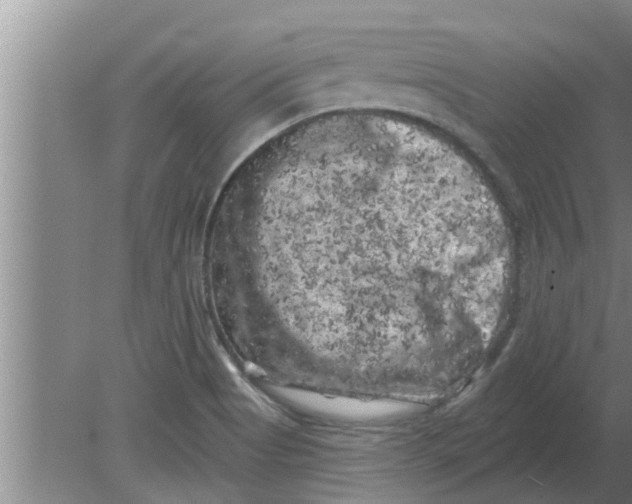 X0000080181513200612302232