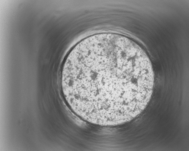 X0000080181514200612302232