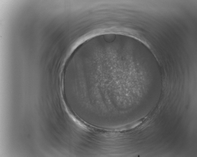 X0000080181515200612302232