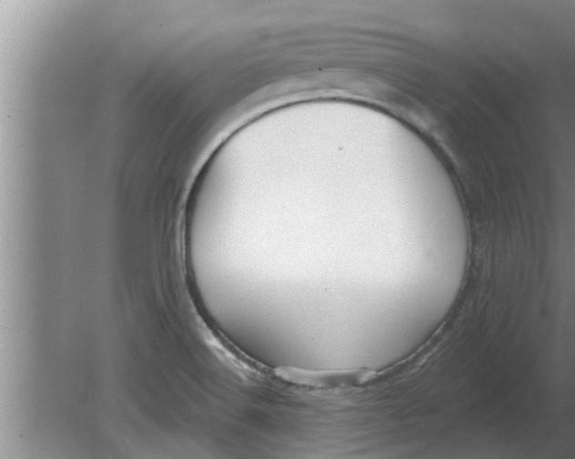 X0000080181516200612302232