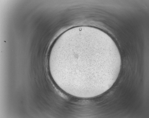 X0000080181517200612302232