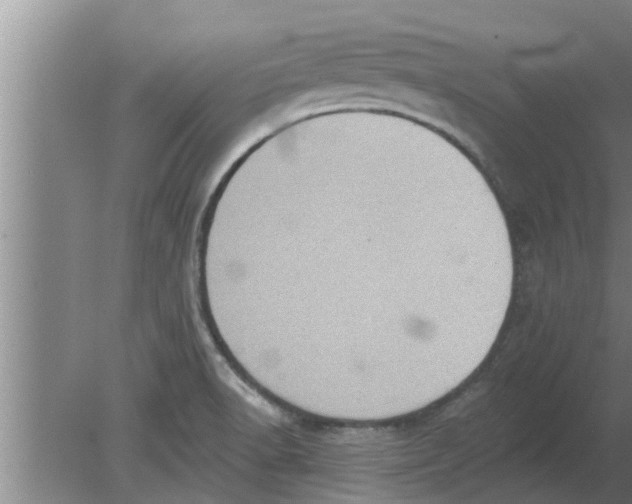 X0000080181518200612302232