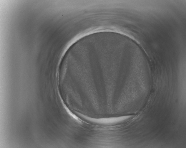 X0000080181519200612302232