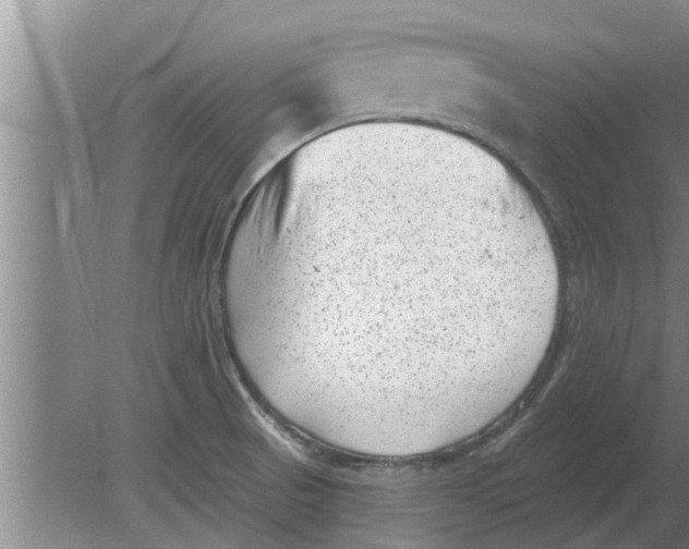 X0000080181521200612302232