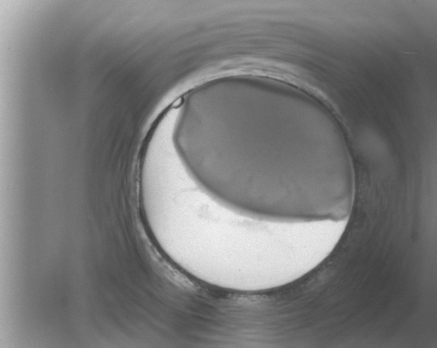 X0000080181522200612302232