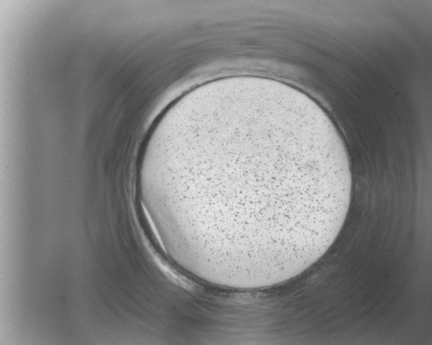 X0000080181523200612302232