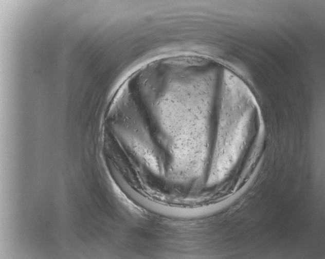 X0000080181524200612302232