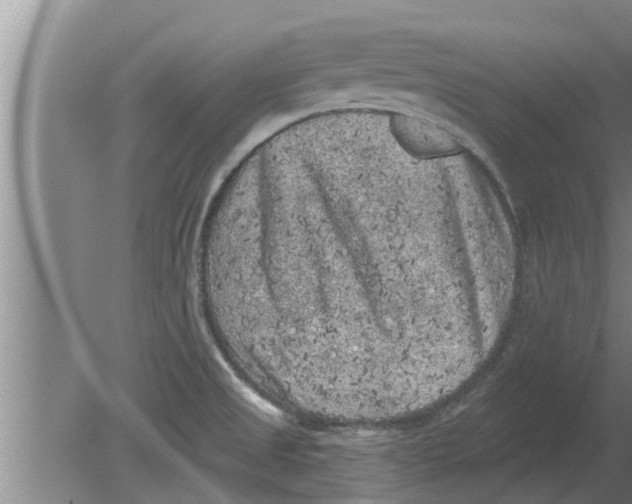 X0000080181525200612302232