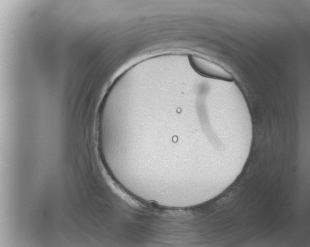 X0000080181526200612302232