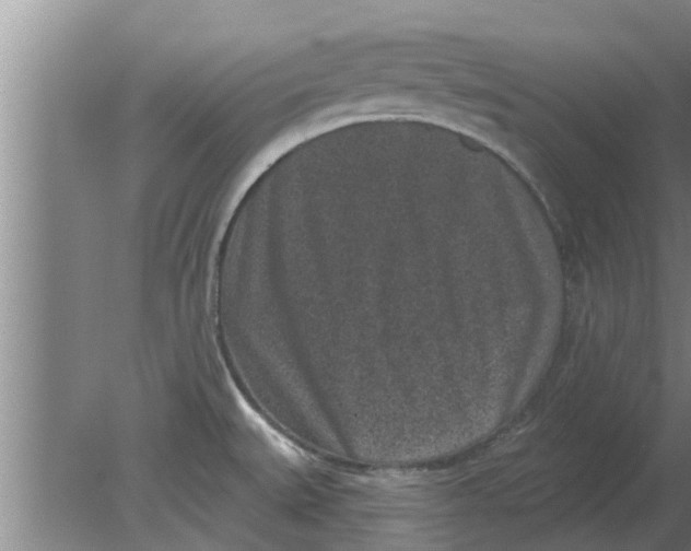 X0000080181527200612302232